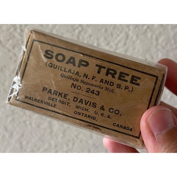 1900 Era Soap Tree - Parke Davis & Co - Still Wrapped Never Opened - Picture 1 of 4